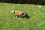merly und sky 23